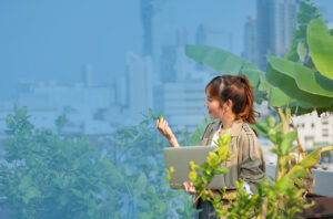 Featured image for “A Storey About Roof Gardens”