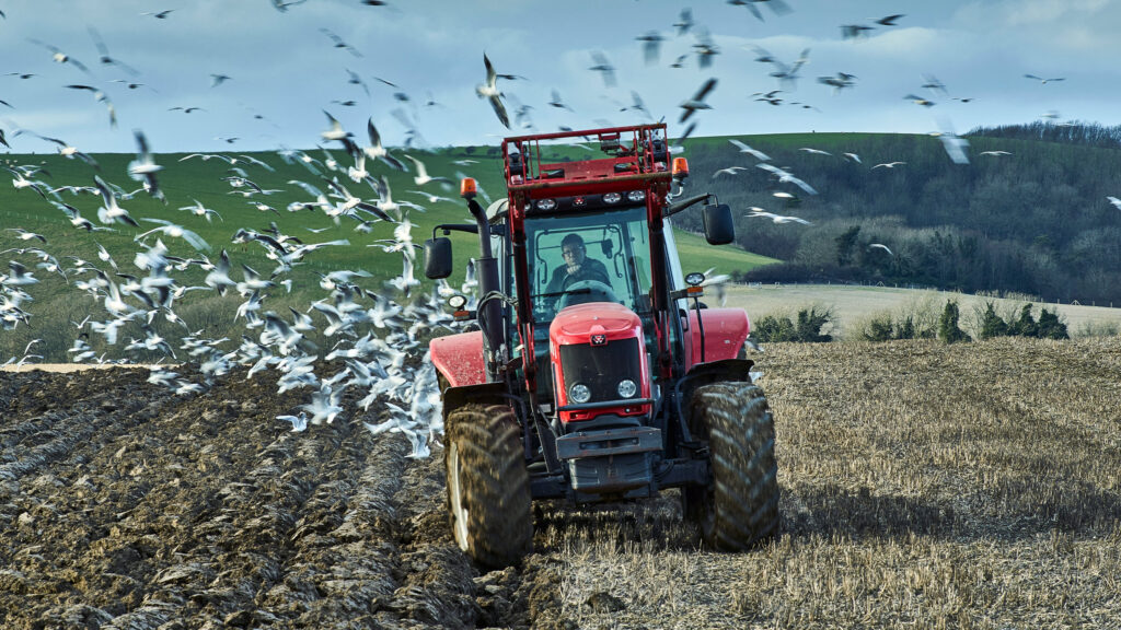 Red tractor ploughing a field with birds flying overhead.