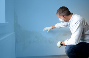 Featured image for “New rules for providers of social housing in England”