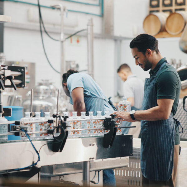 Worker operating a bottling line at a distillery with glass bottles on a conveyor.