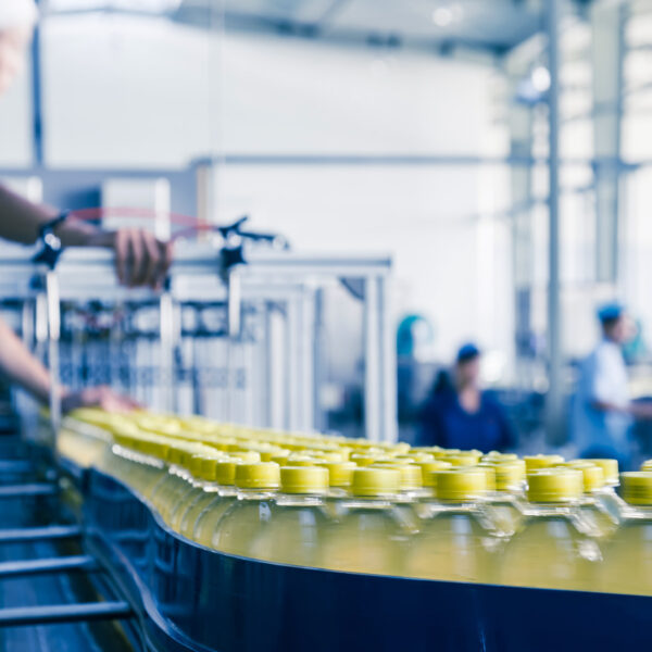 Worker monitoring a beverage production line with bottles moving along a conveyor.